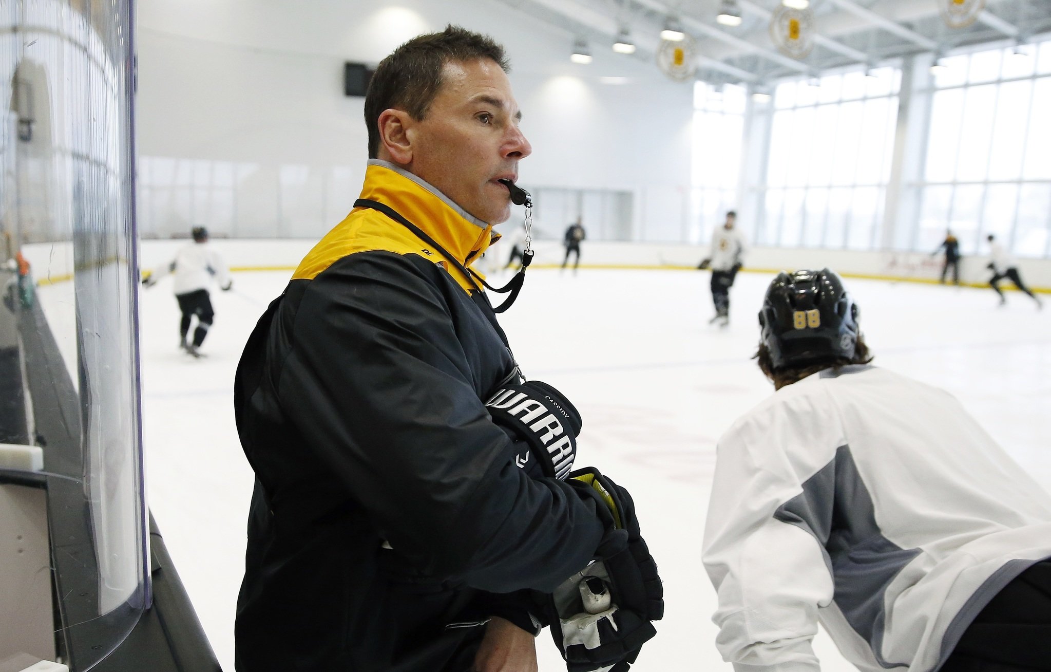 Why Bruce Cassidy Has Been Such A Success As Bruins Head Coach - CLNS Media